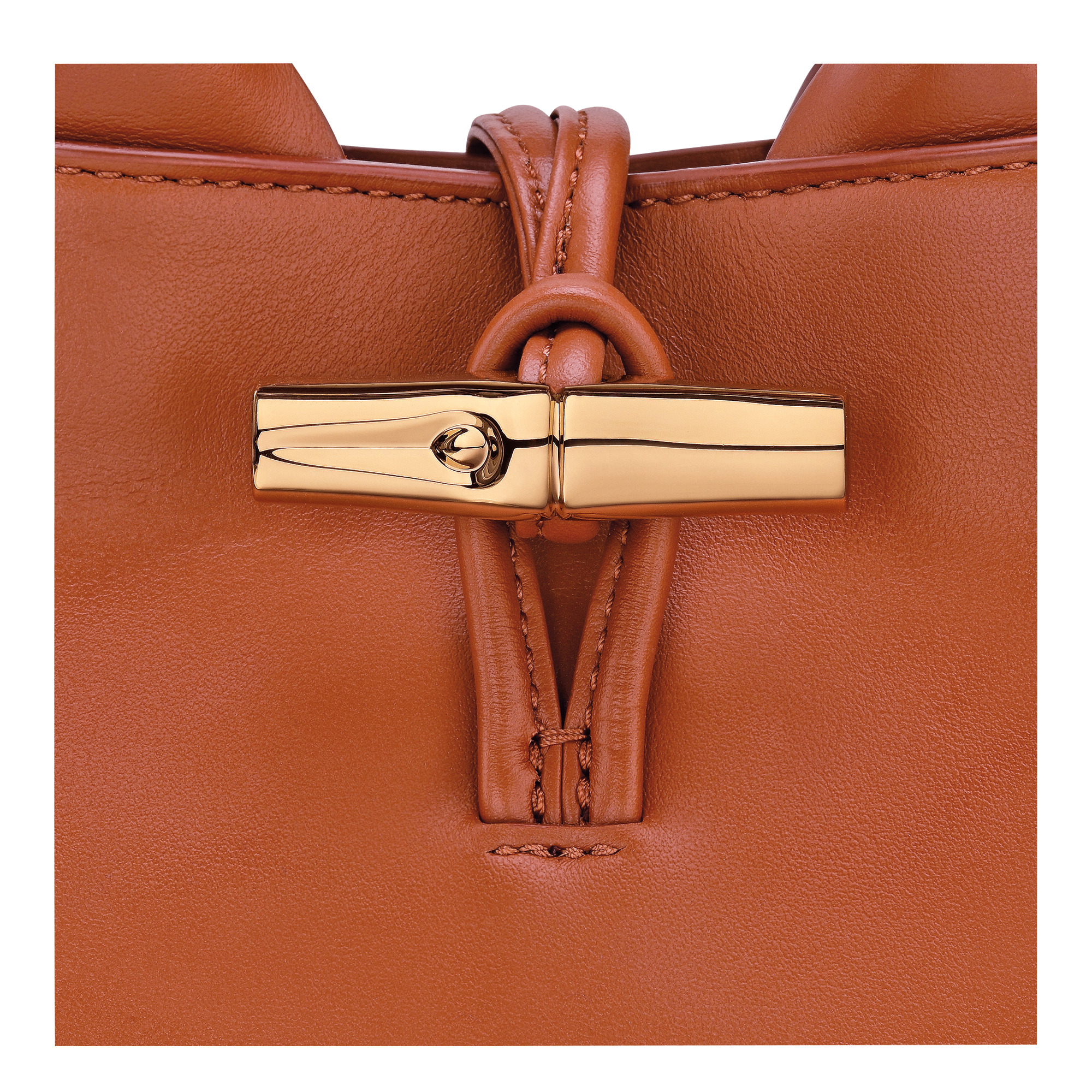 Le Roseau XS Handbag Bark - Leather - 7