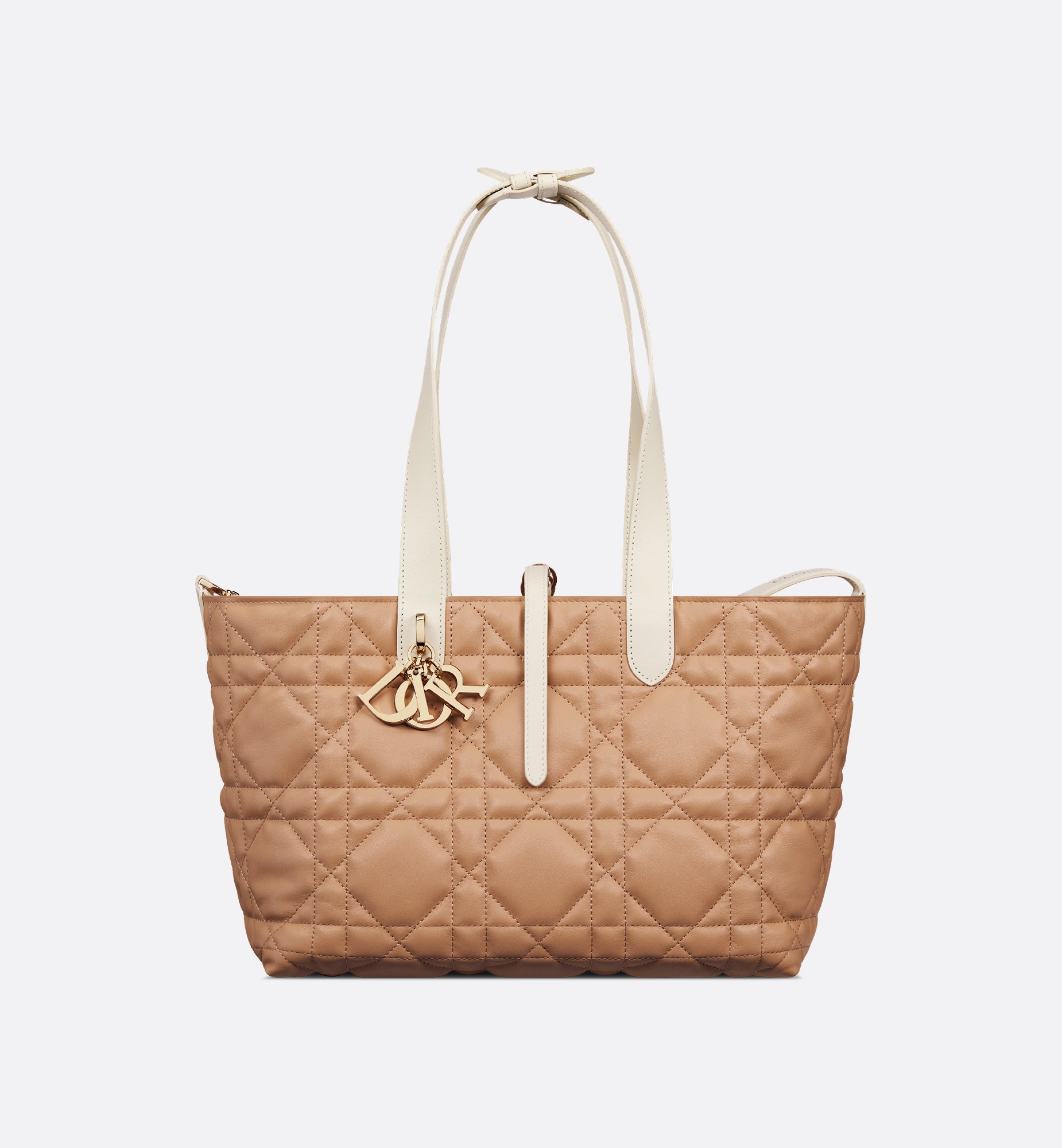 Dior Medium Dior Toujours Bag | REVERSIBLE