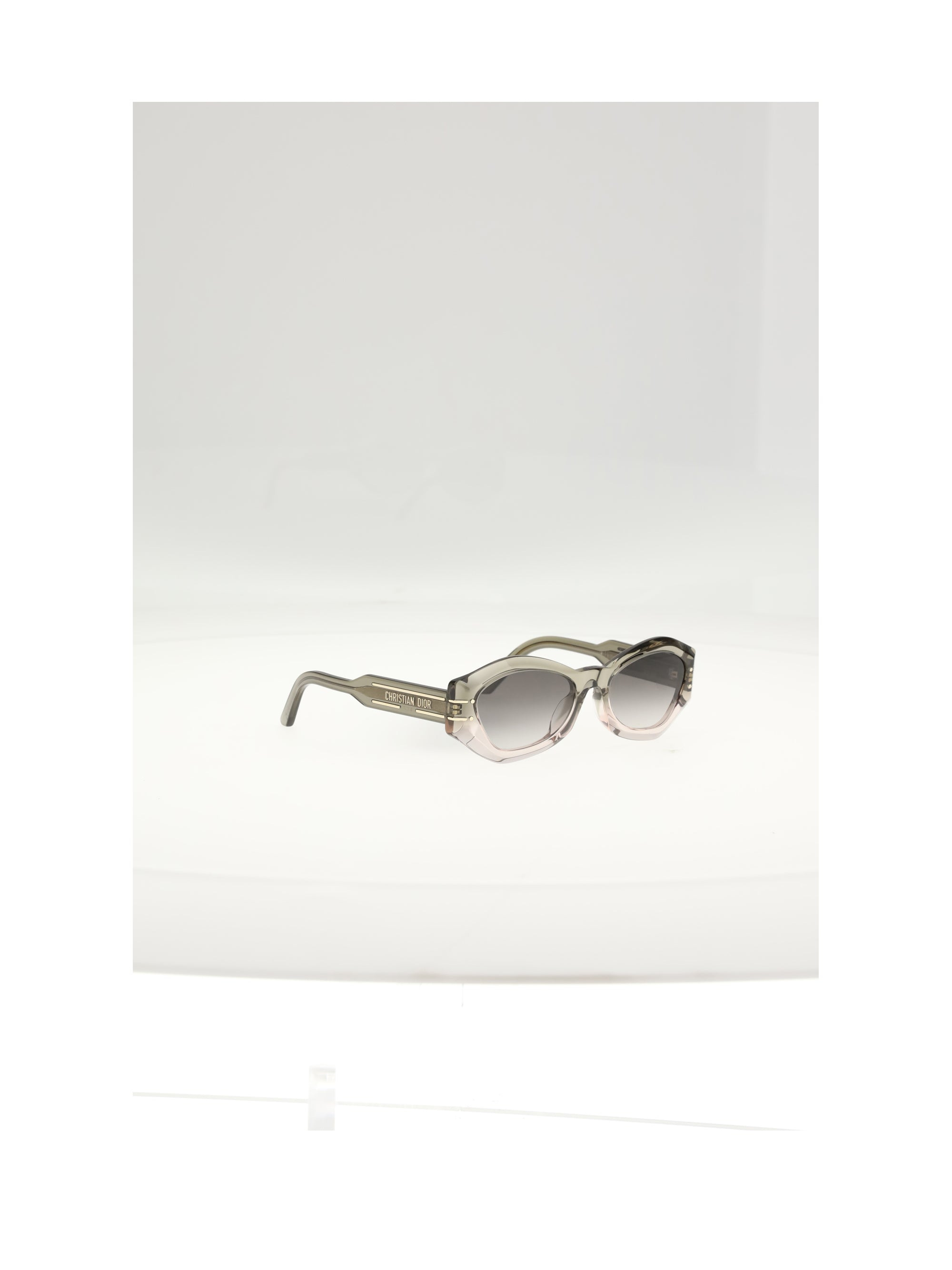 Dior Women Diorsignature B1uxr Sunglasses - 2