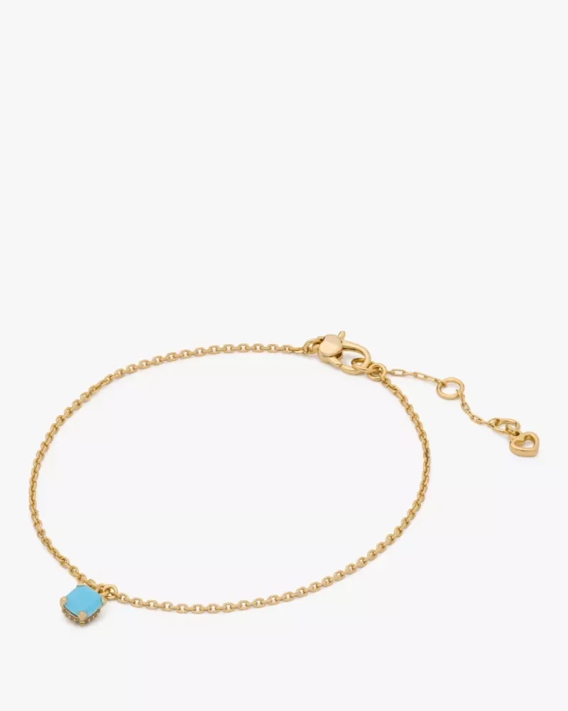 Little Luxuries Anklet - 1