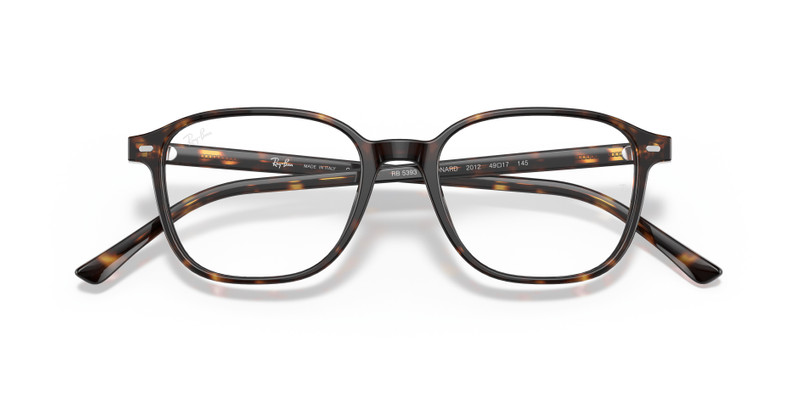 Ray-Ban LEONARD OPTICS outlook