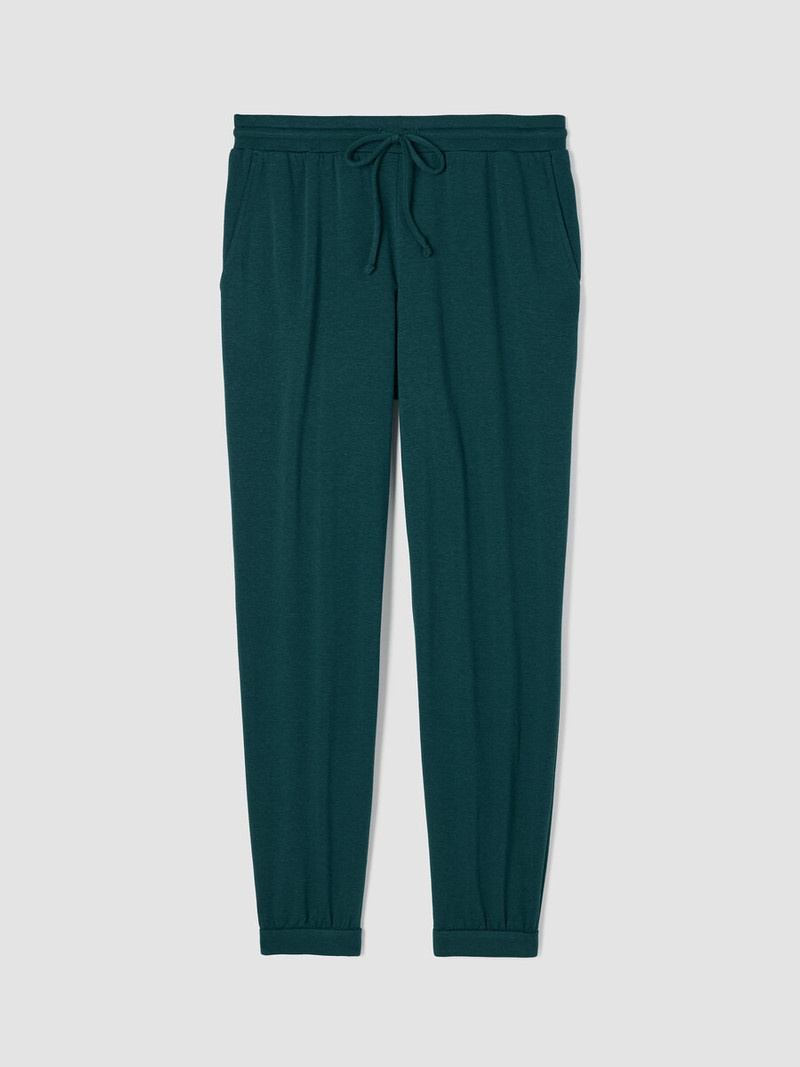 Cozy Brushed Terry Hug Jogger Pant 1
