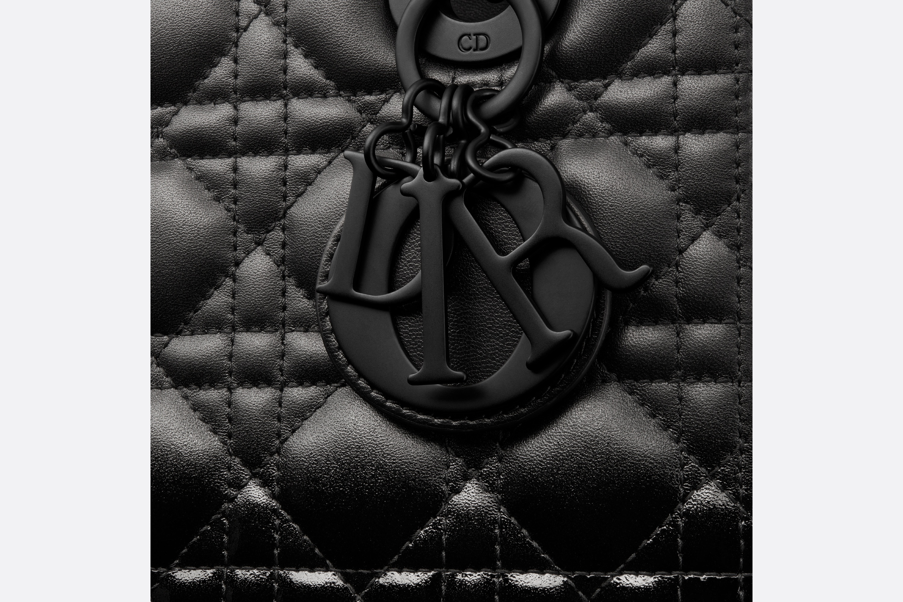 Medium Lady Dior Bag - 7