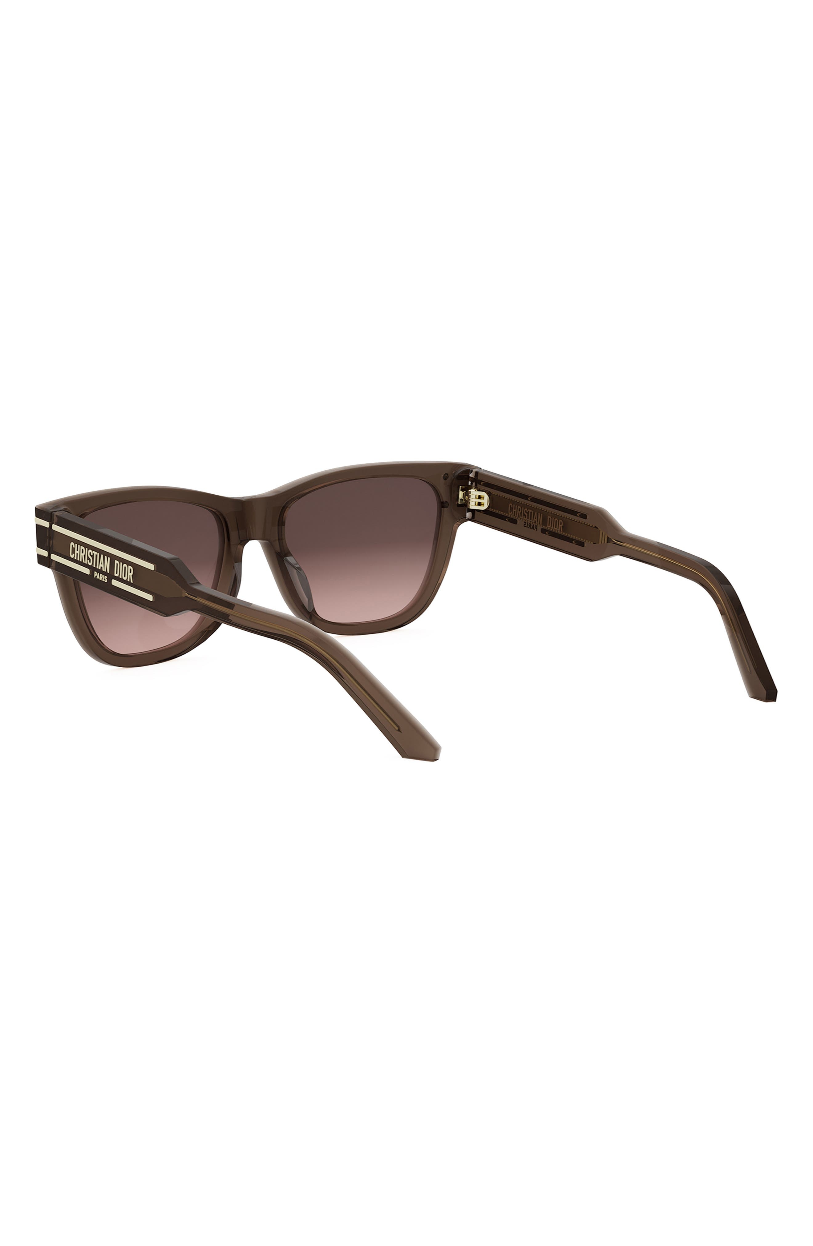 'DiorSignature S6U 54mm Butterfly Sunglasses in Shiny Light Brown /Roviex at Nordstrom - 8