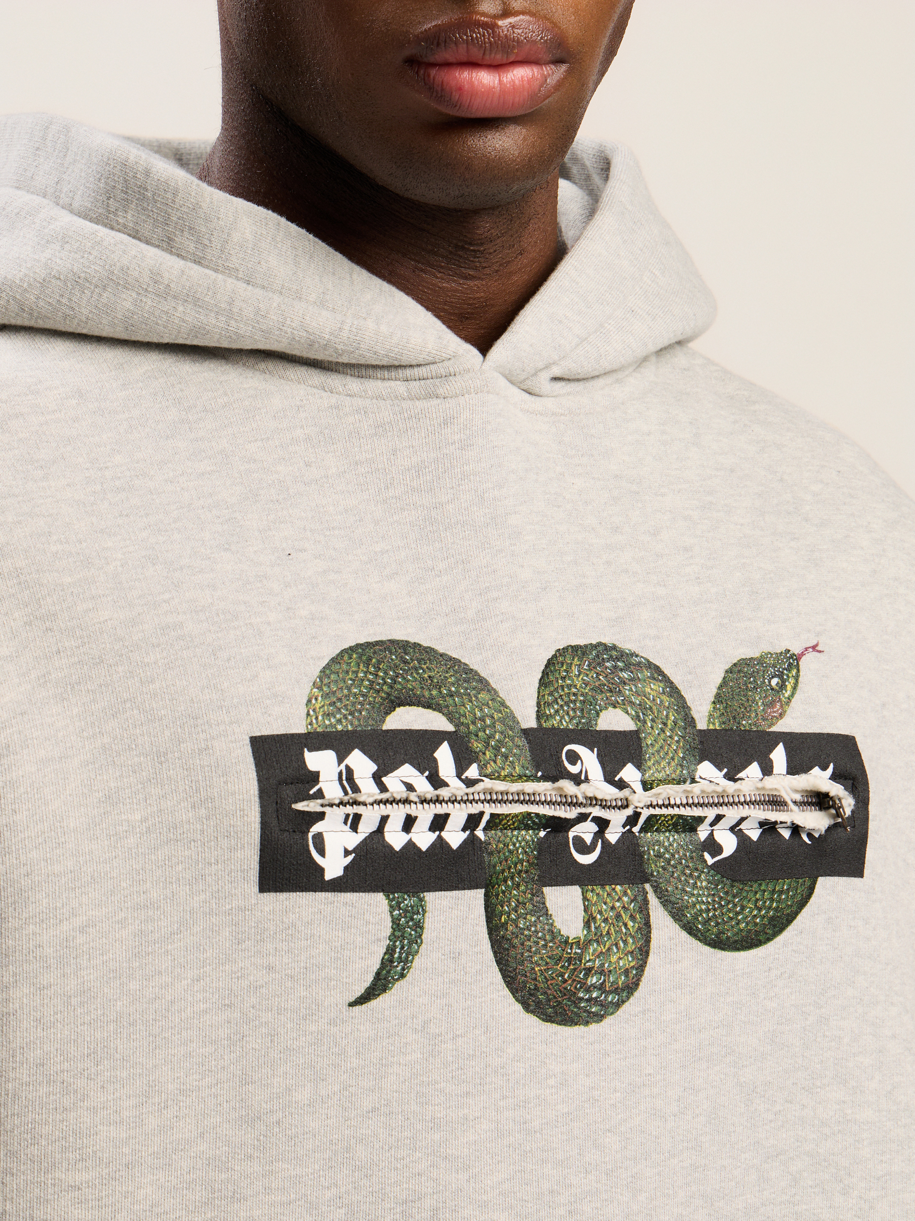 Snake Graphic Hoodie - 6