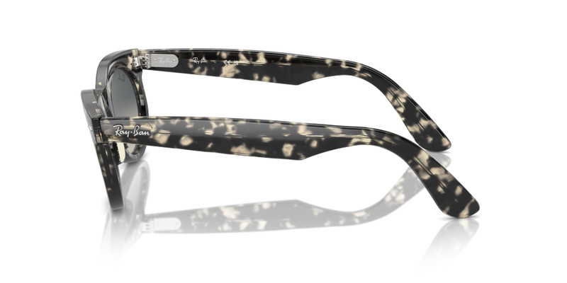 WAYFARER OVAL 4