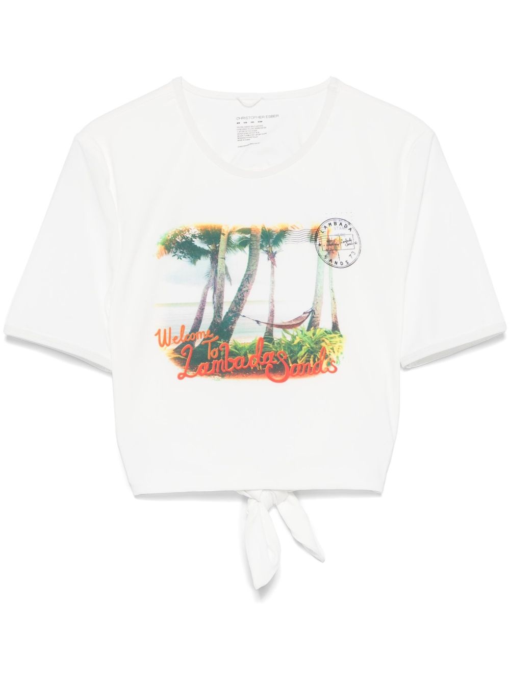 Lambada Sands crop top - 1