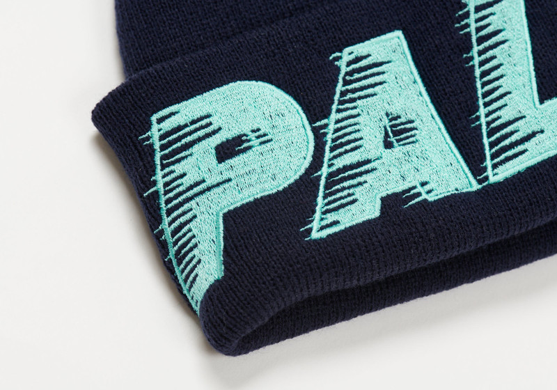 PALACE FAST BEANIE NAVY outlook