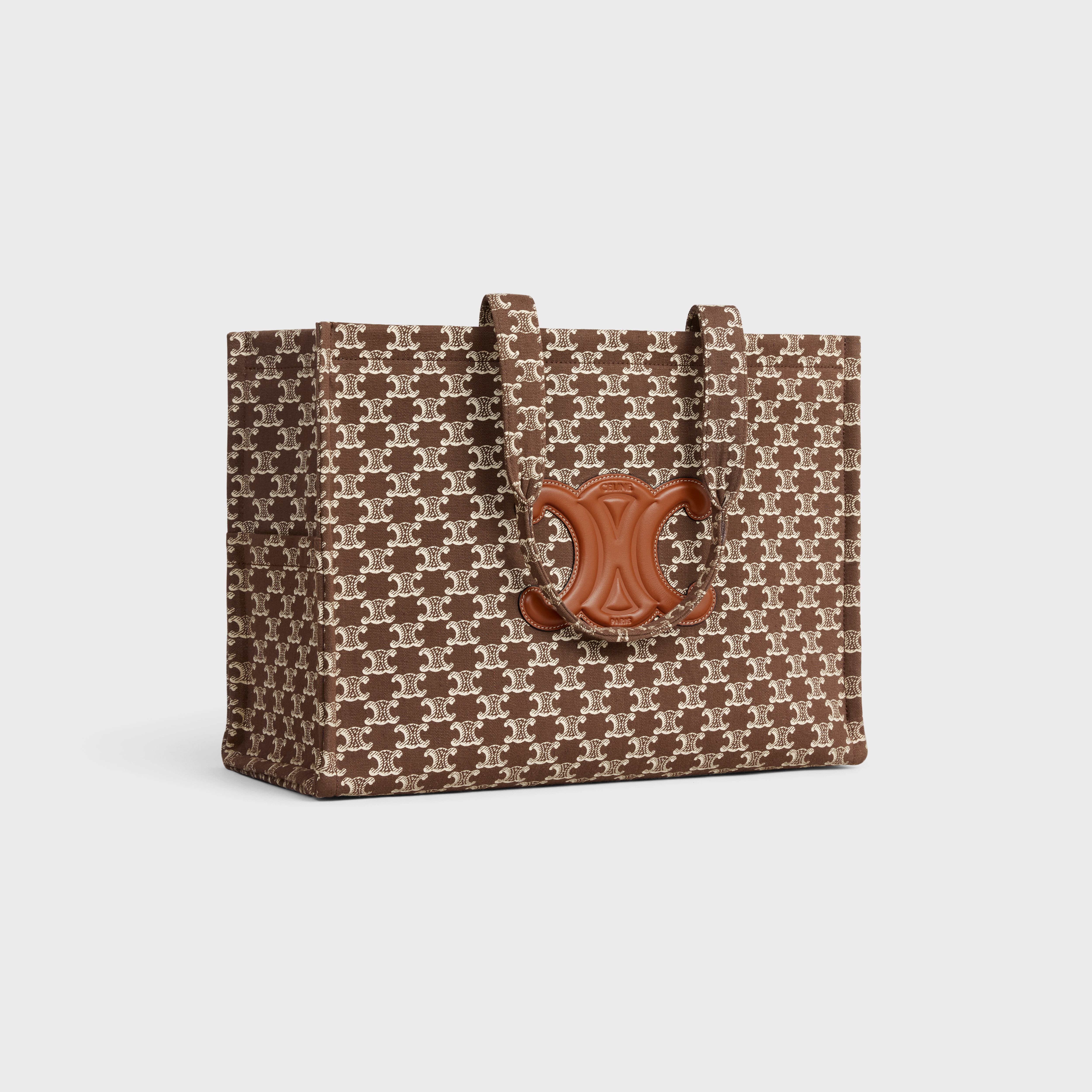 Large Cabas Thais in TEXTILE WITH TRIOMPHE CANVAS PRINT AND CALFSKIN - 2
