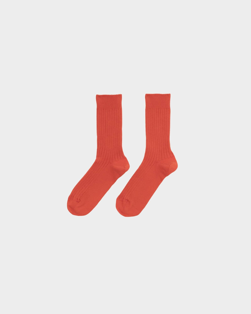 Rib Overankle Socks - Organic Cotton Rib 4