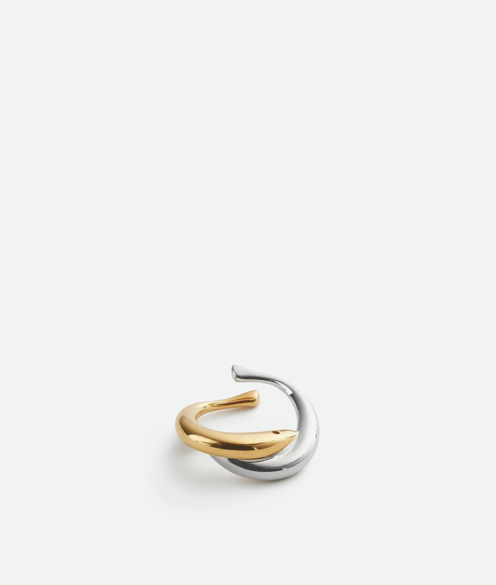 Sardine Ring - 1