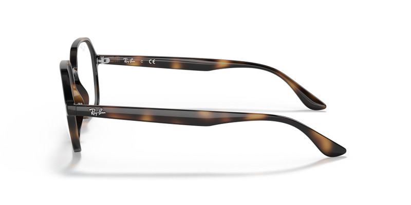 RB4361 OPTICS 5
