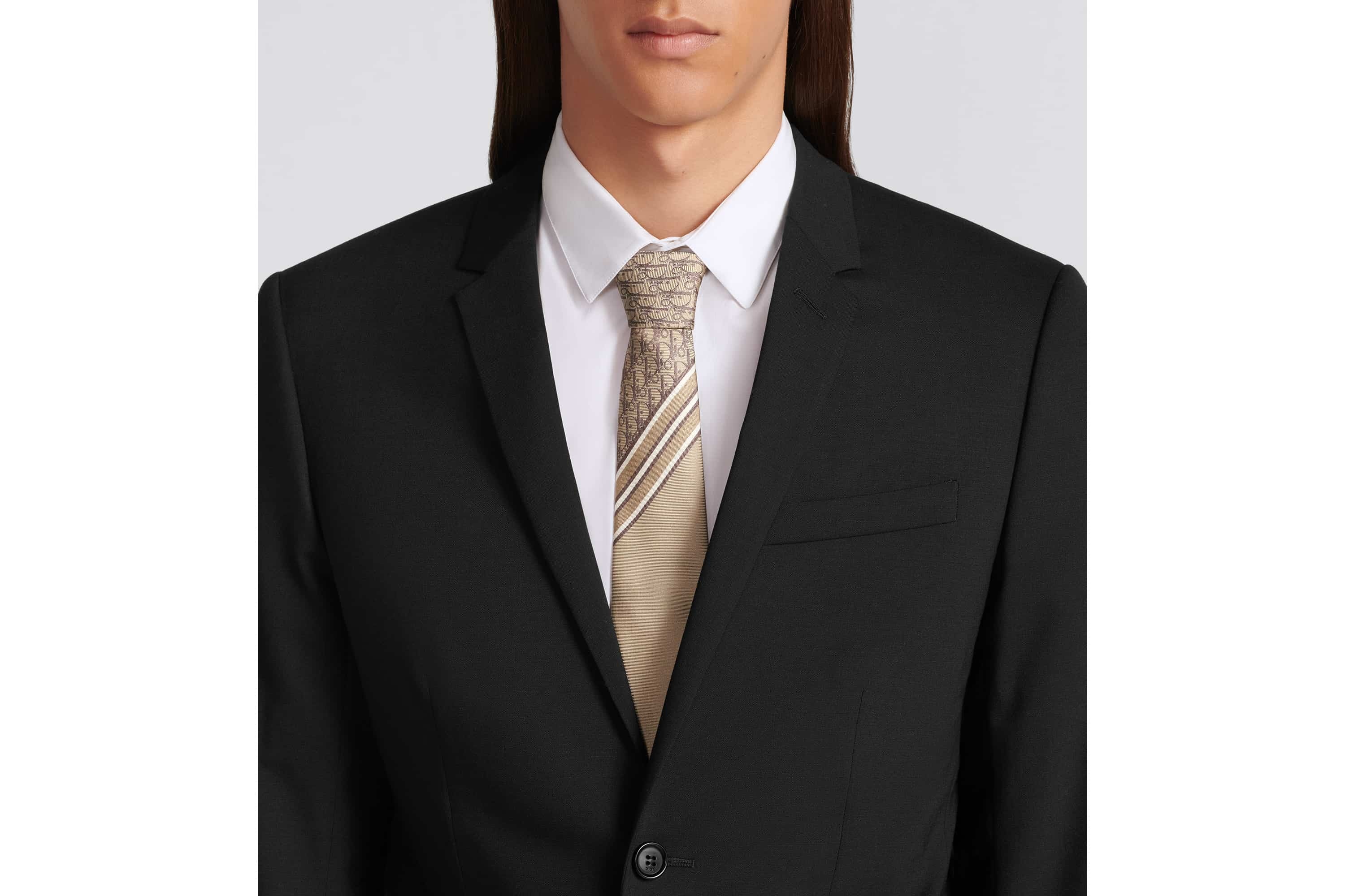 Striped Dior Oblique Tie - 3