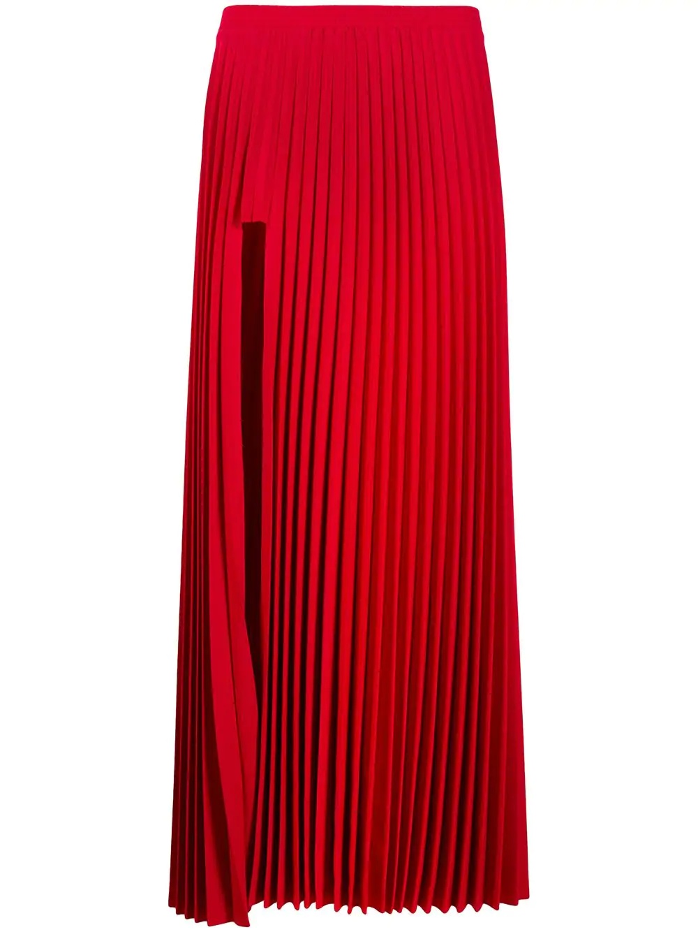 long pleated skirt - 1