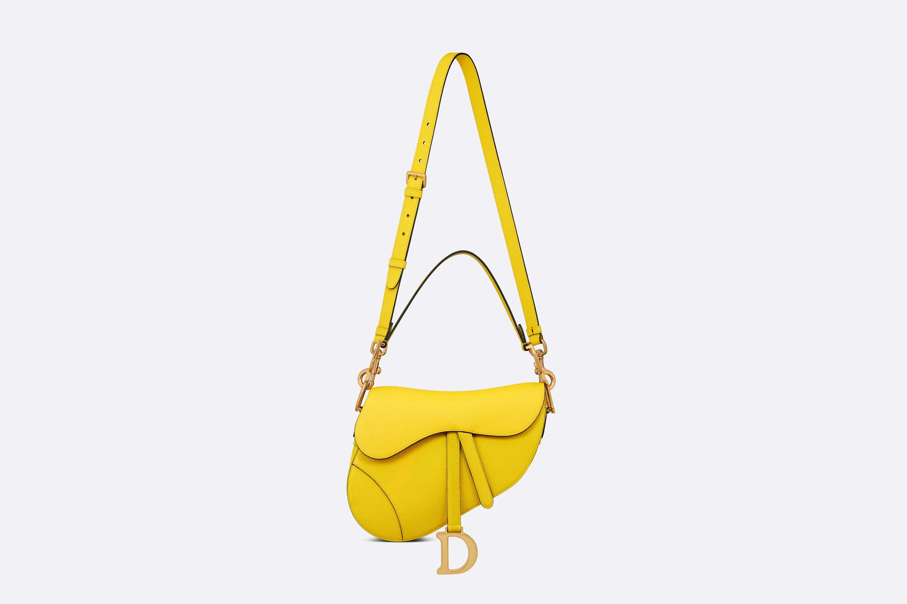 Saddle Bag with Strap - 4