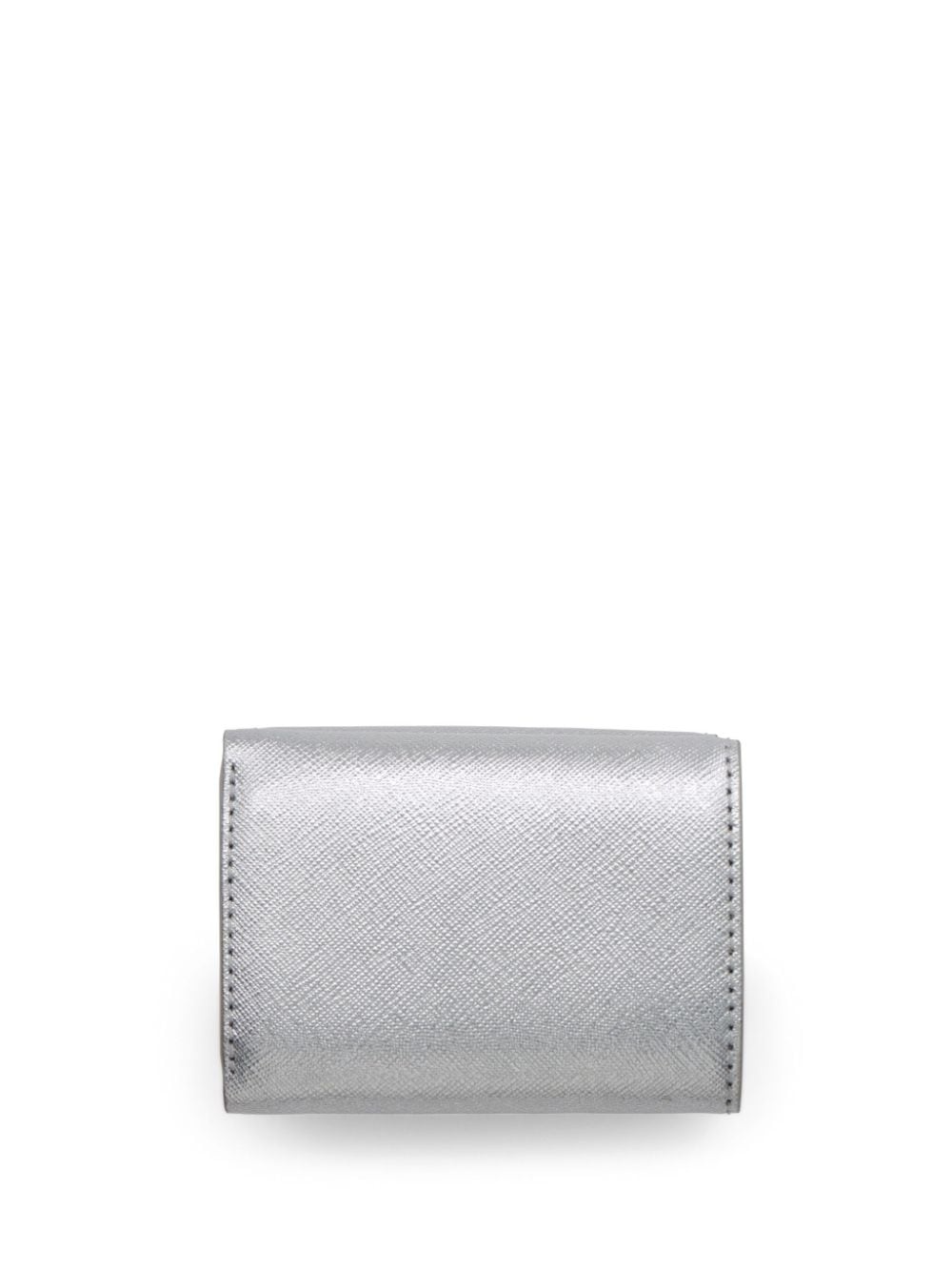 The Snapshot wallet - 2