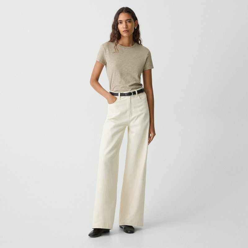 Theory Tiny Tee in Organic Slub Cotton outlook