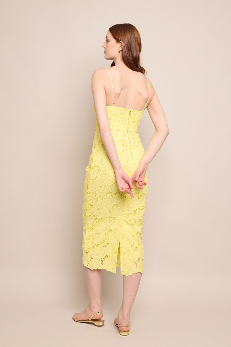 Camille Dress Flirtatious Flare and Scalloped Lace Romance 4