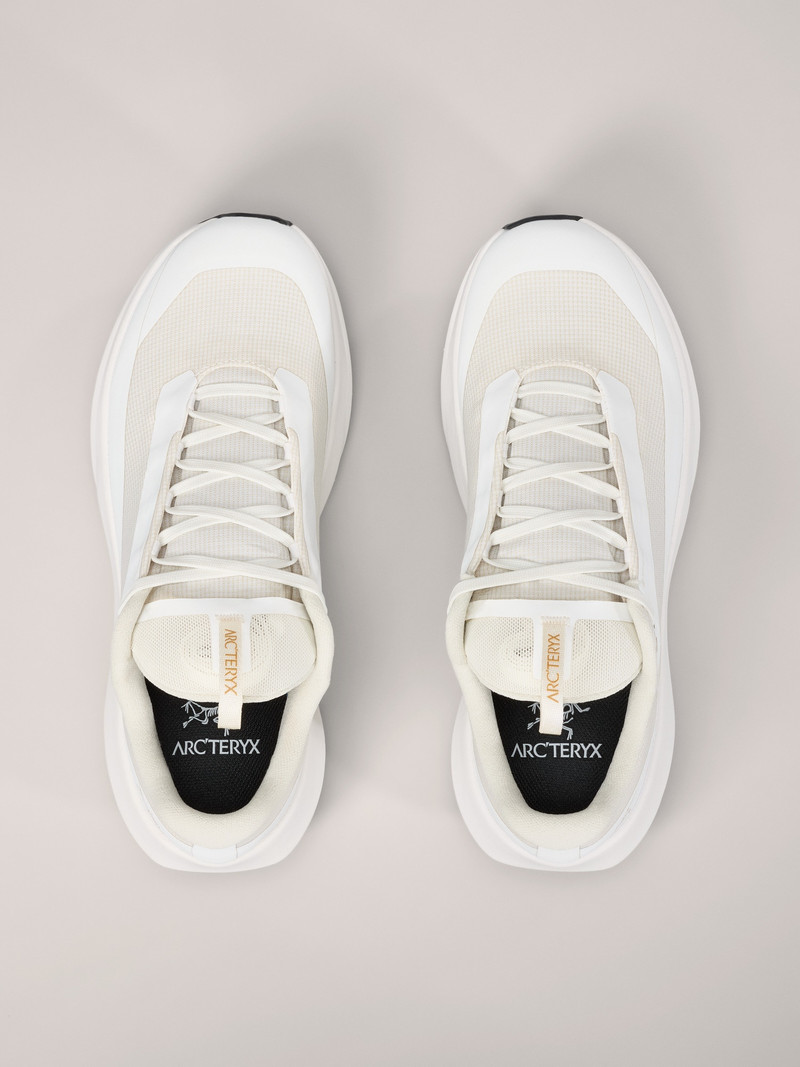 Norvan LD 4 GTX Shoe 3