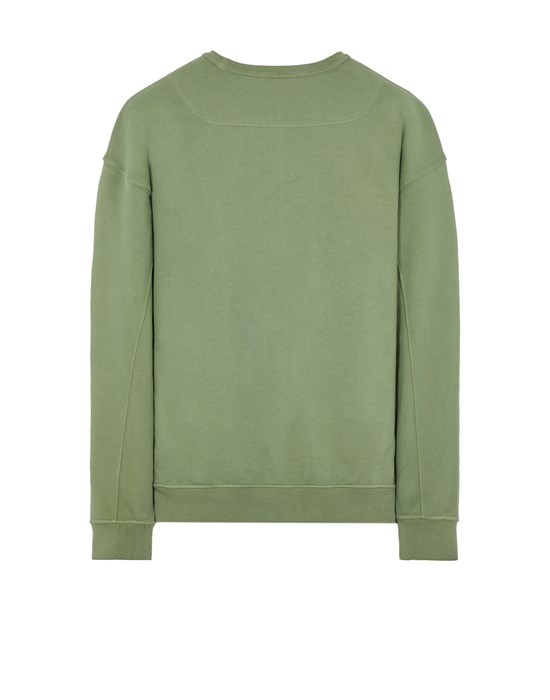 62951 SAGE GREEN - 2