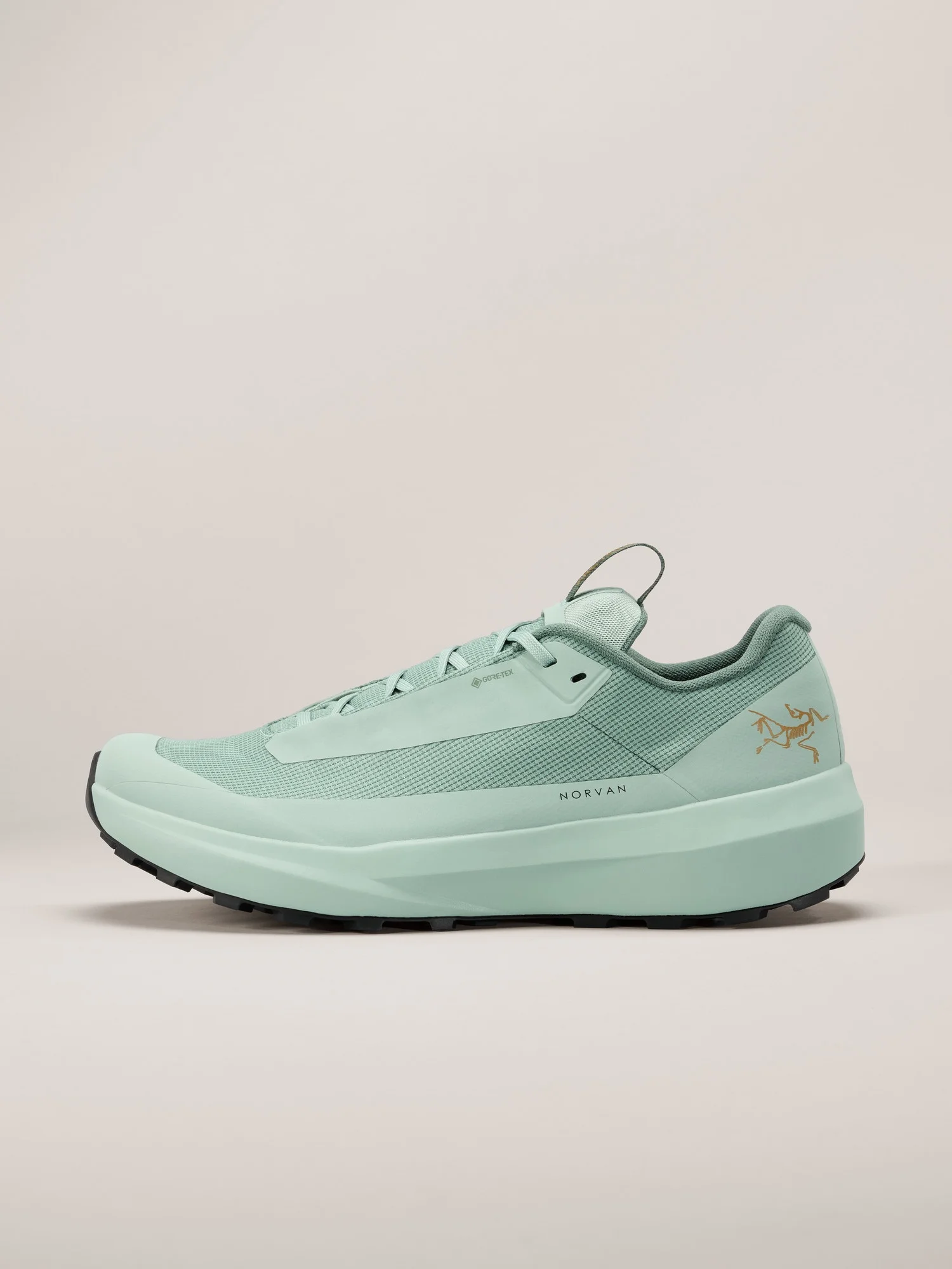 Norvan LD 4 GTX Shoe - 1