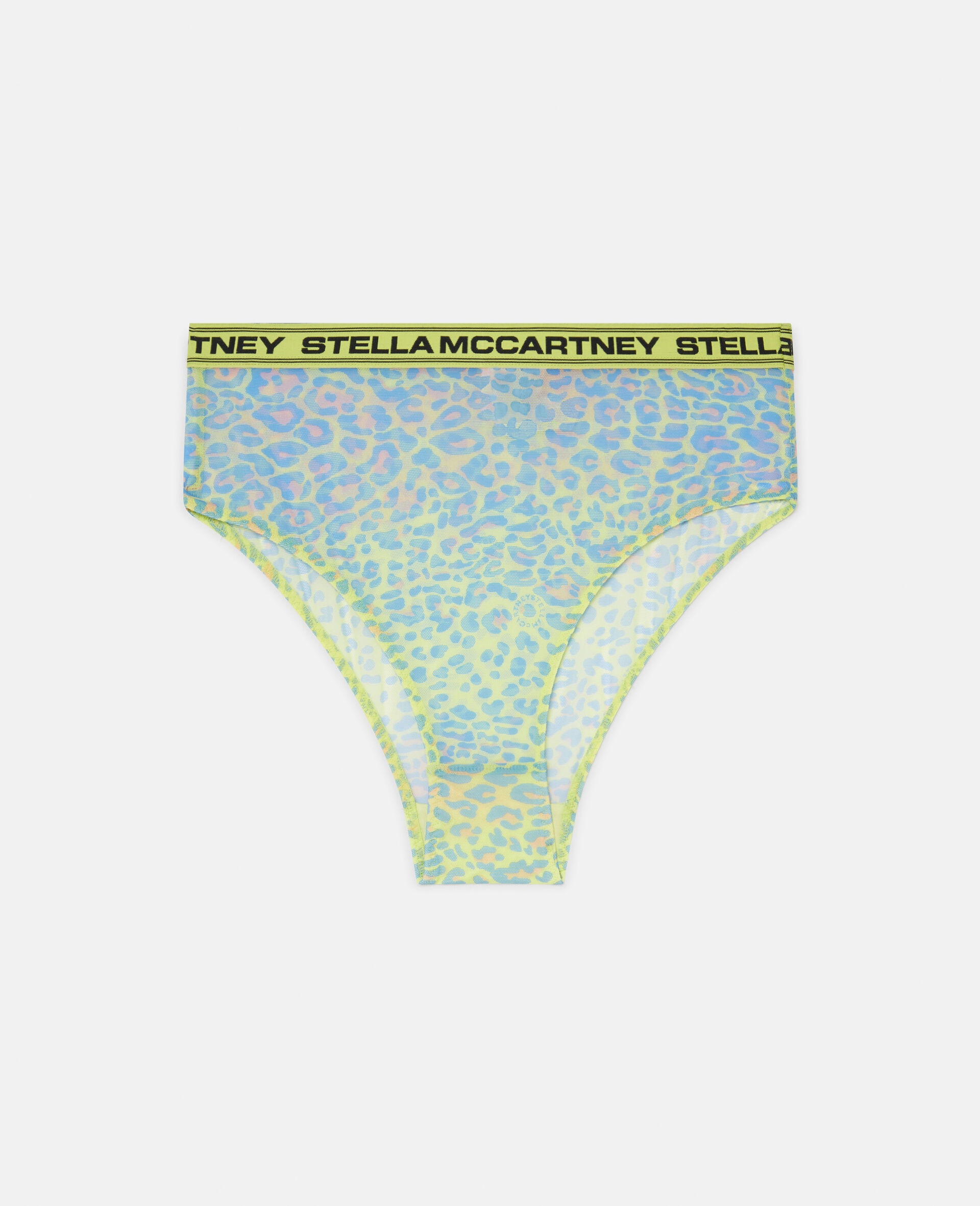 Leopard Print Mesh High Waist Bikini Briefs - 1