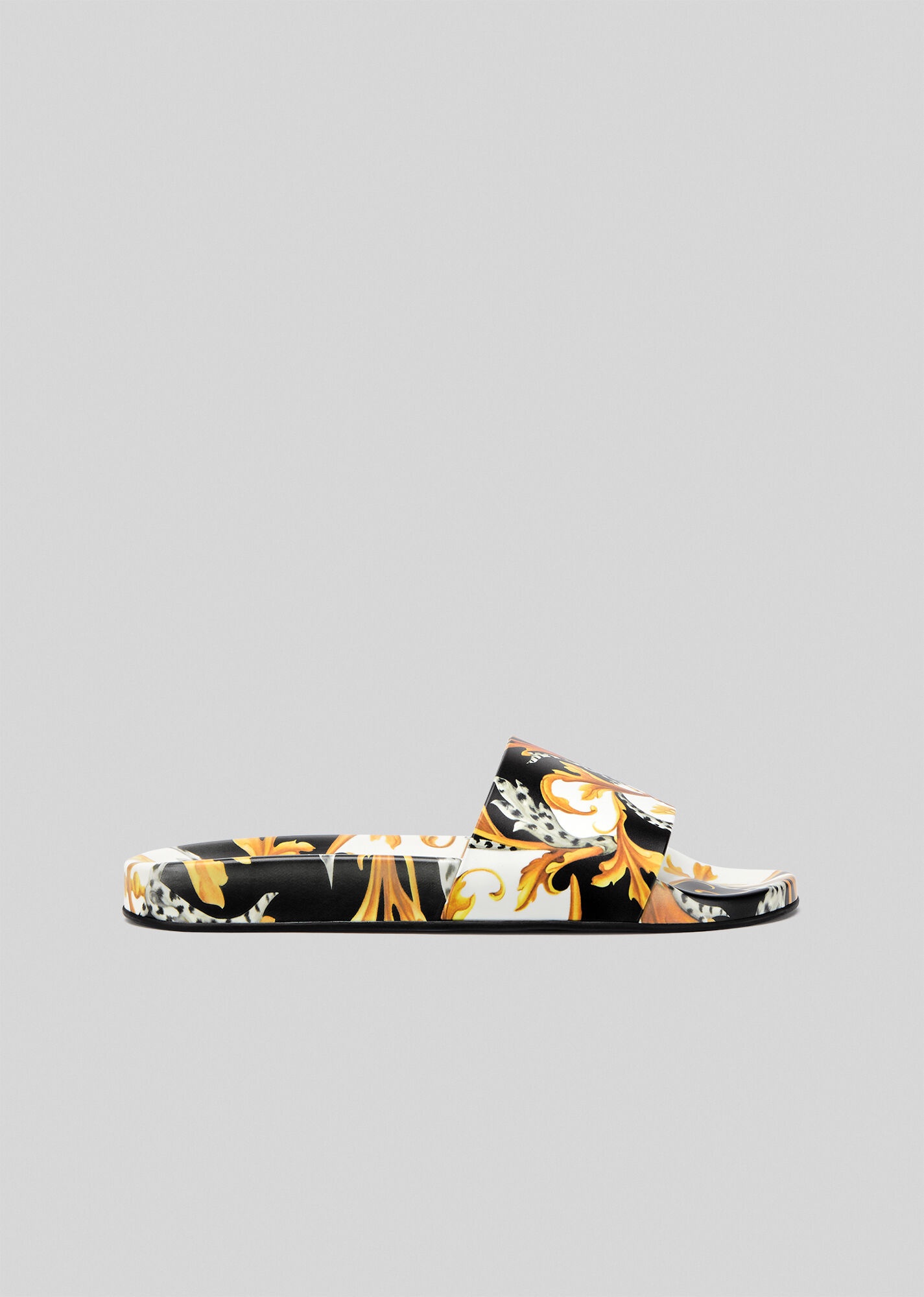 Acanthus Print Slides - 1