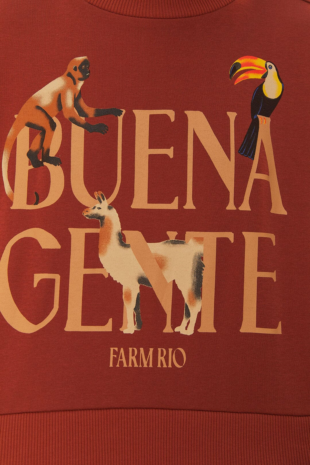 Brown Buena Gente Sweatshirt - 4