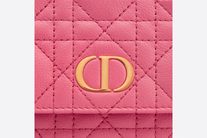 Dior Caro Belt Pouch with Chain 6