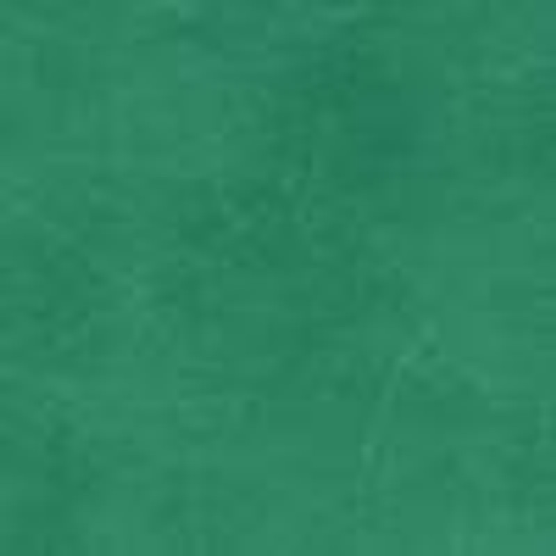 Mini Leo Bag in Leather 4