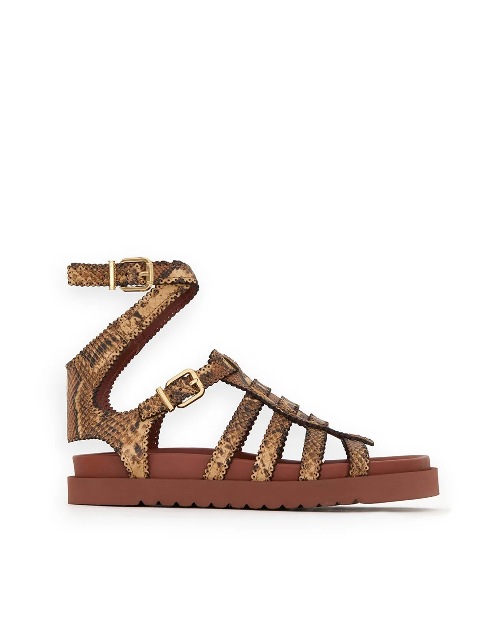 GOLDIE GLADIATOR - 1