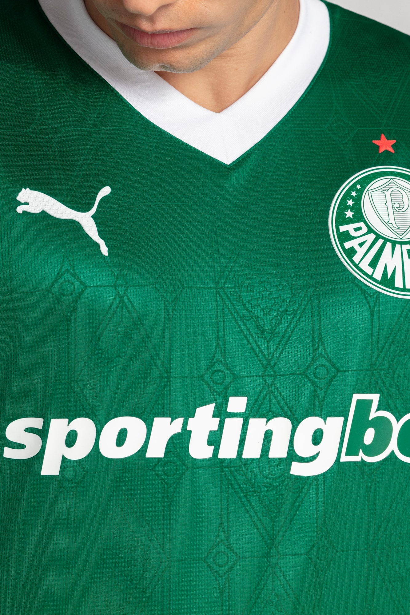 Palmeiras Jogador Home Jsy25 Men - 5