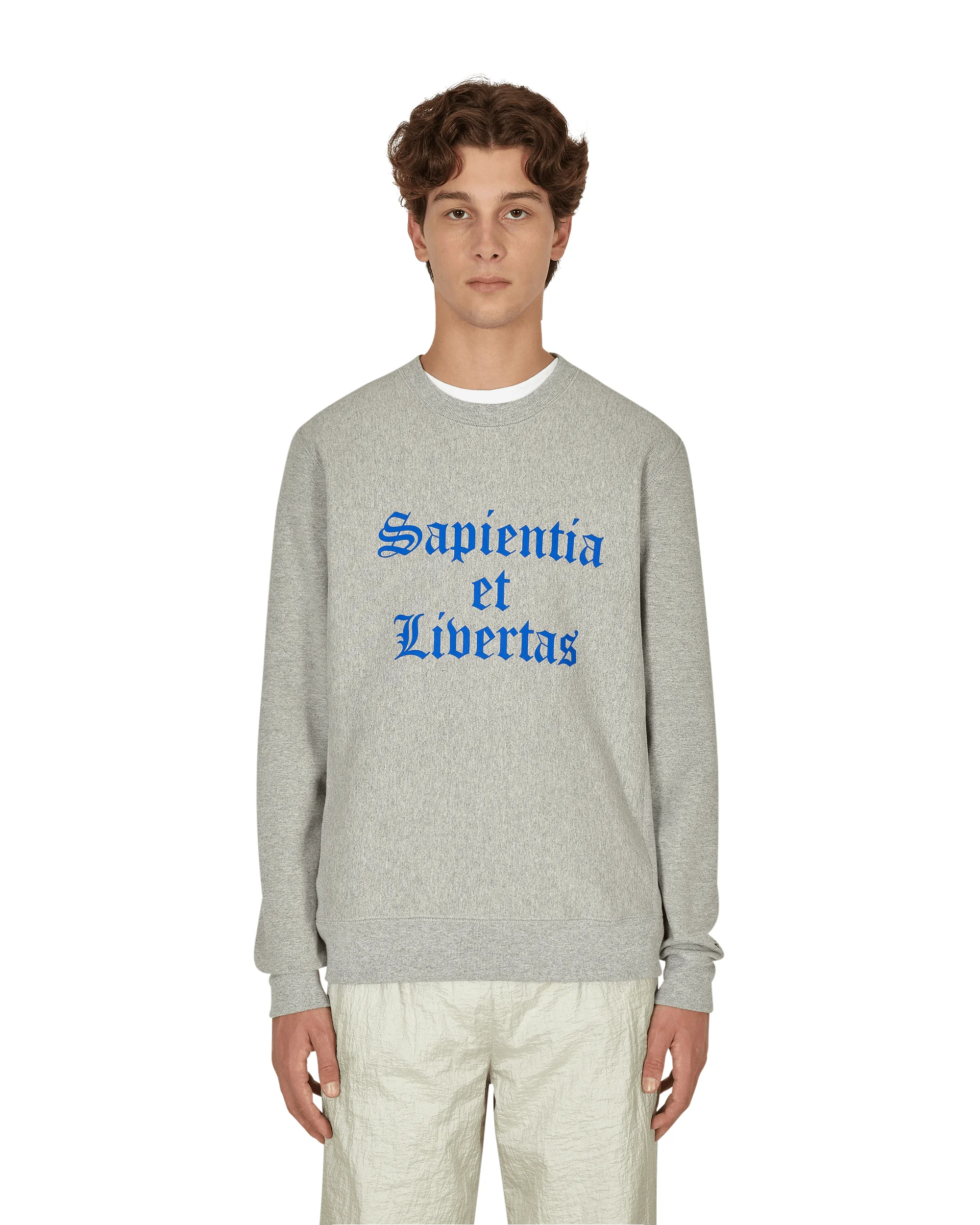 Knowledge Crewneck Sweatshirt Grey - 1