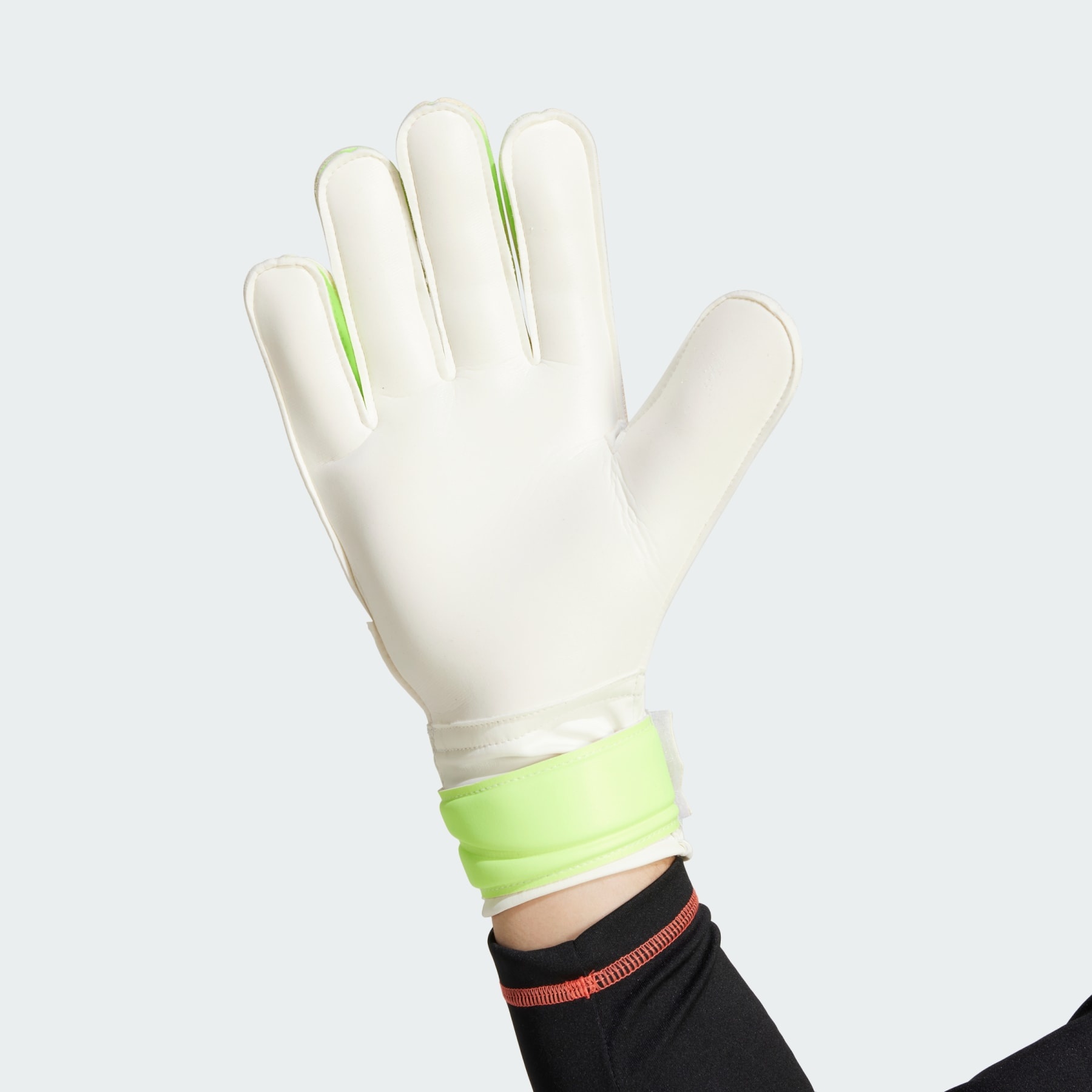 Predator Training Goalkeeper Gloves - 2