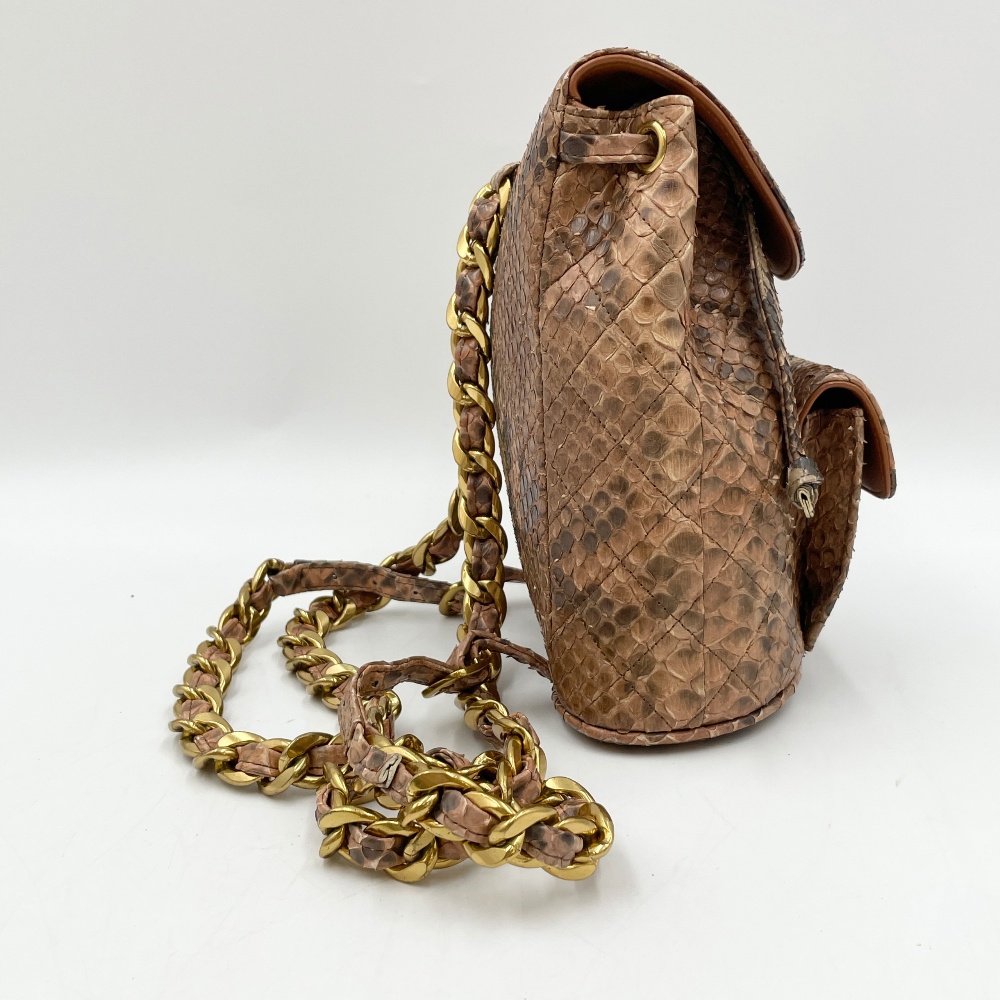 Chanel Snake Skin Duma Backpack - 6