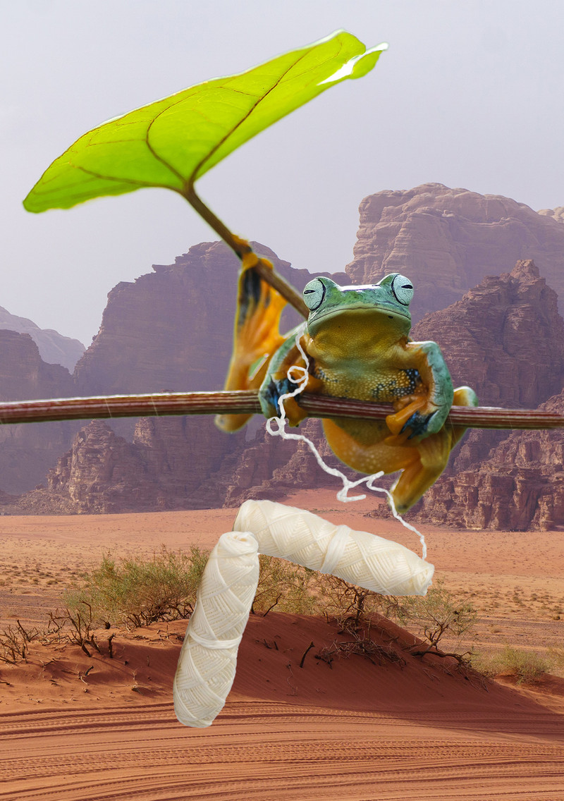 Vegan Dental Floss Refill | MamaP 1