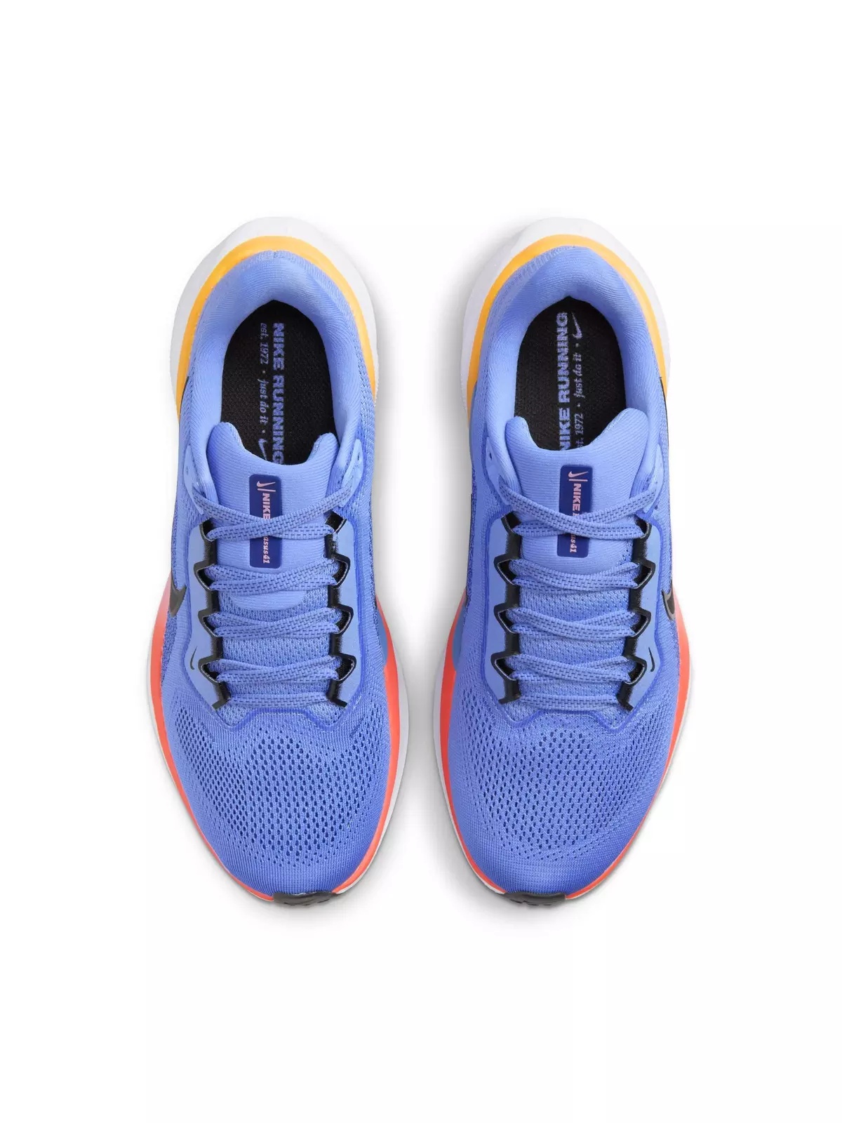 Pegasus 41 "Royal Pulse/Black/Astronomy Blue" Women's Running Shoe - 6