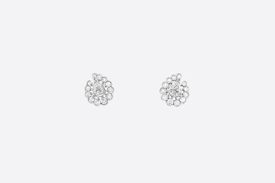 Dior Archi Dior Earrings outlook