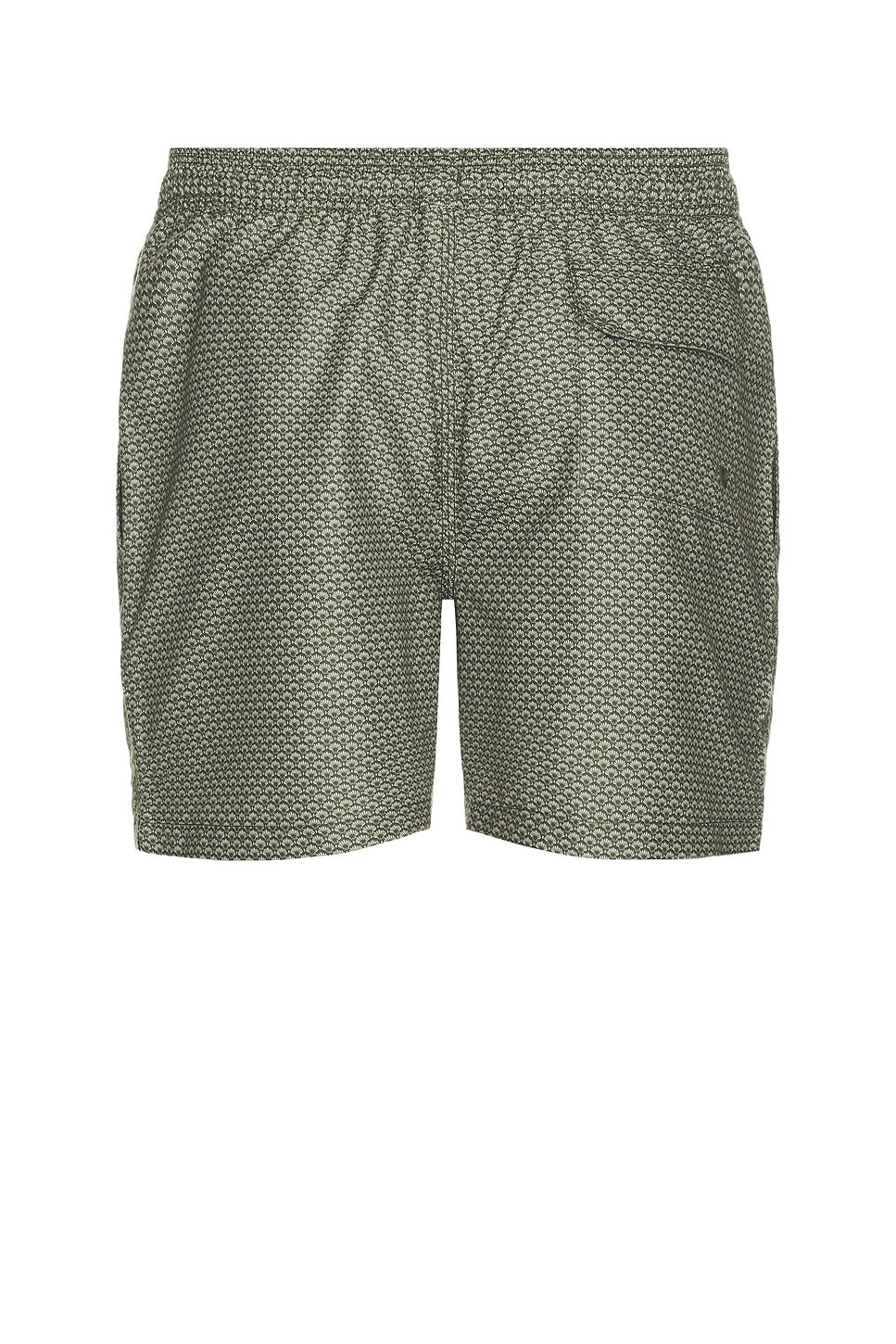 Shell Swim Short - 2