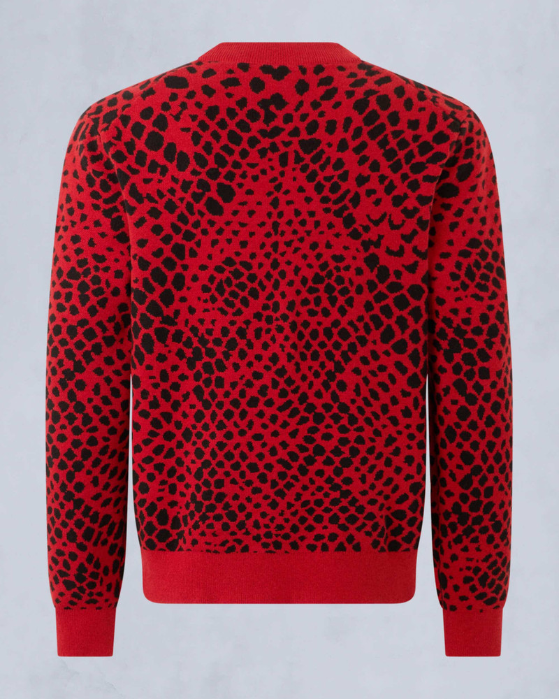 LUNAR NEW YEAR SNAKE SKIN SWEATER 6