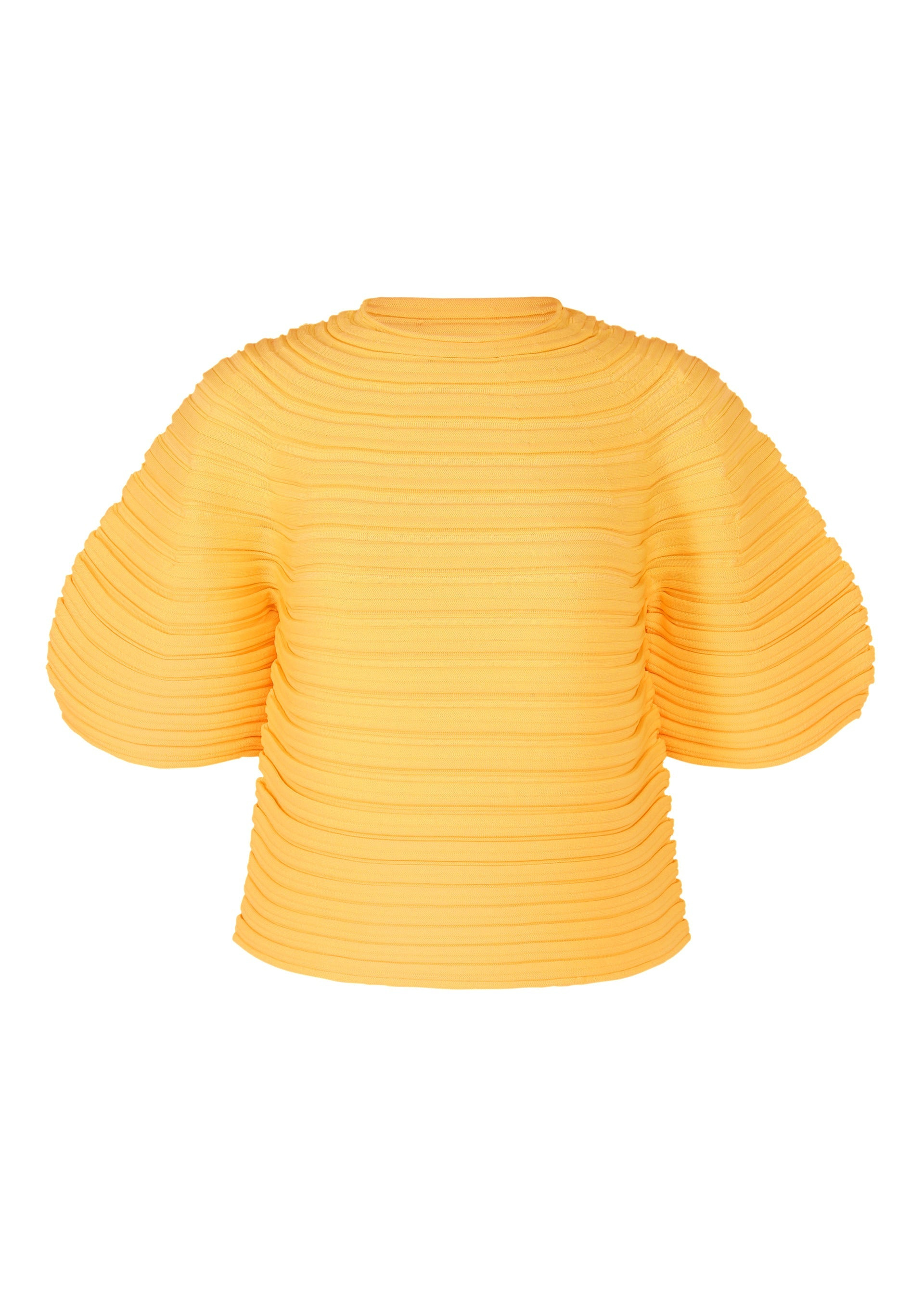 MUSHROOM KNIT - 1