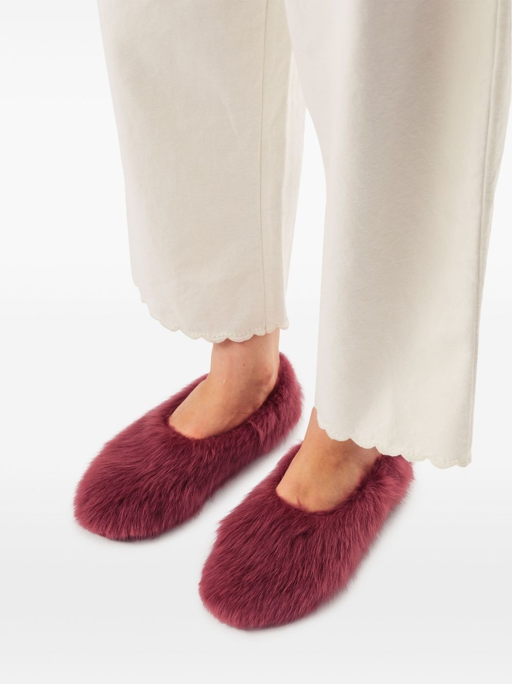 Kiwi Kiwi ballet flat - 4