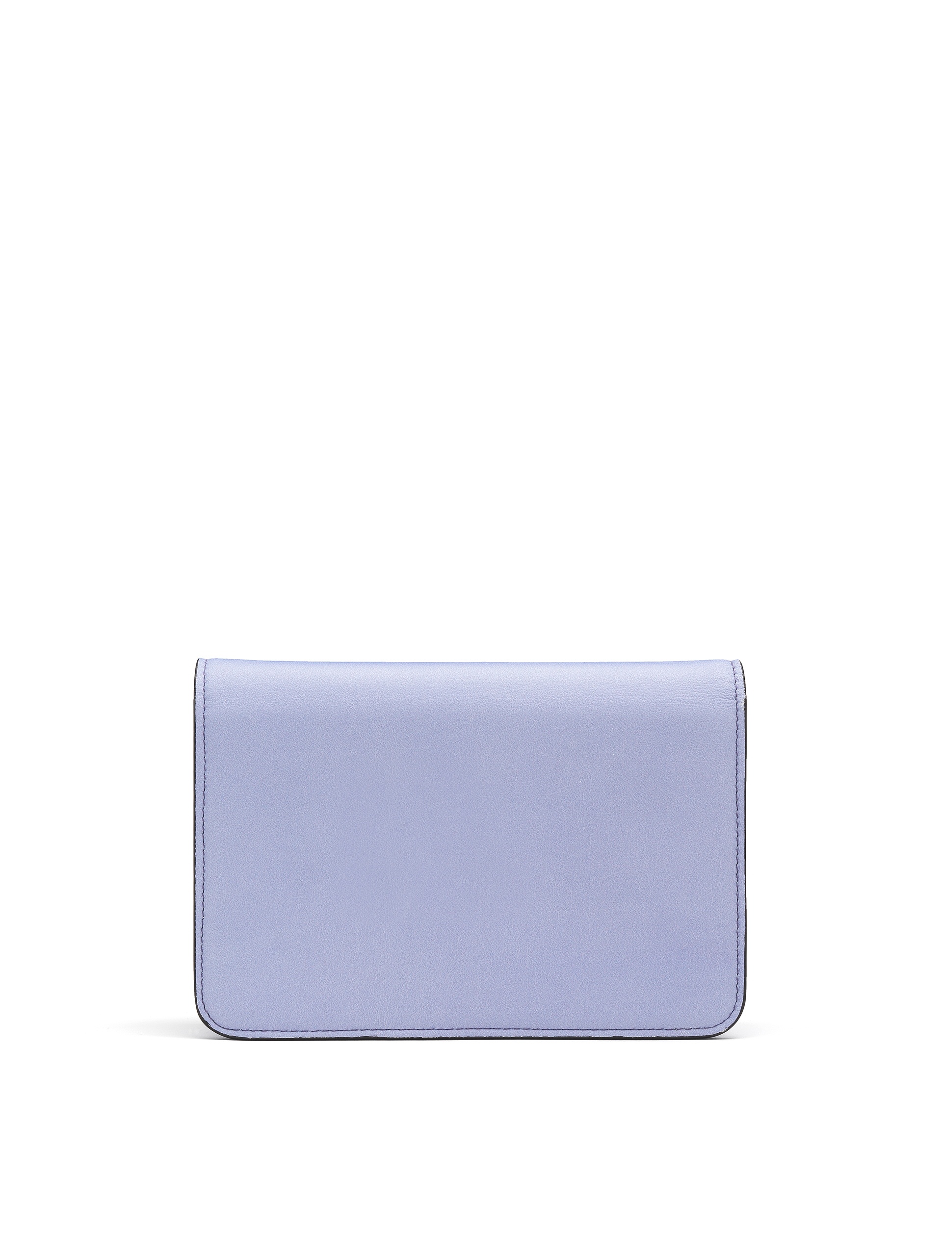 WISTERIA O POCHETTE - 2