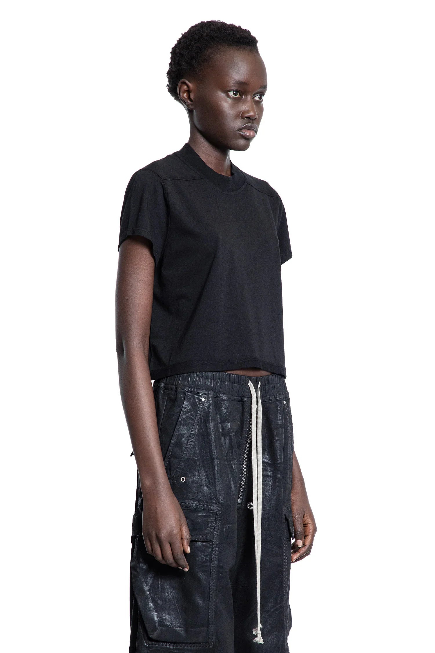 Hollywood-Cropped-Small-Level-T - 2