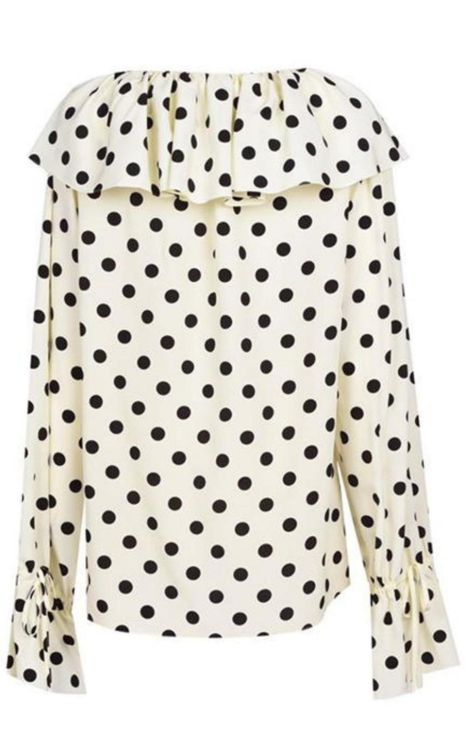 Ruffle-collar Polka-dot Print Silk Blouse - 6