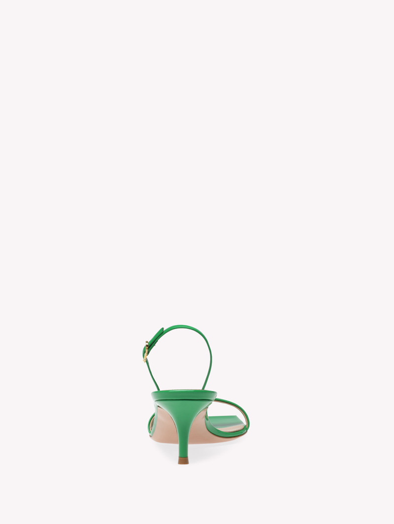 RIBBON KITTEN 4