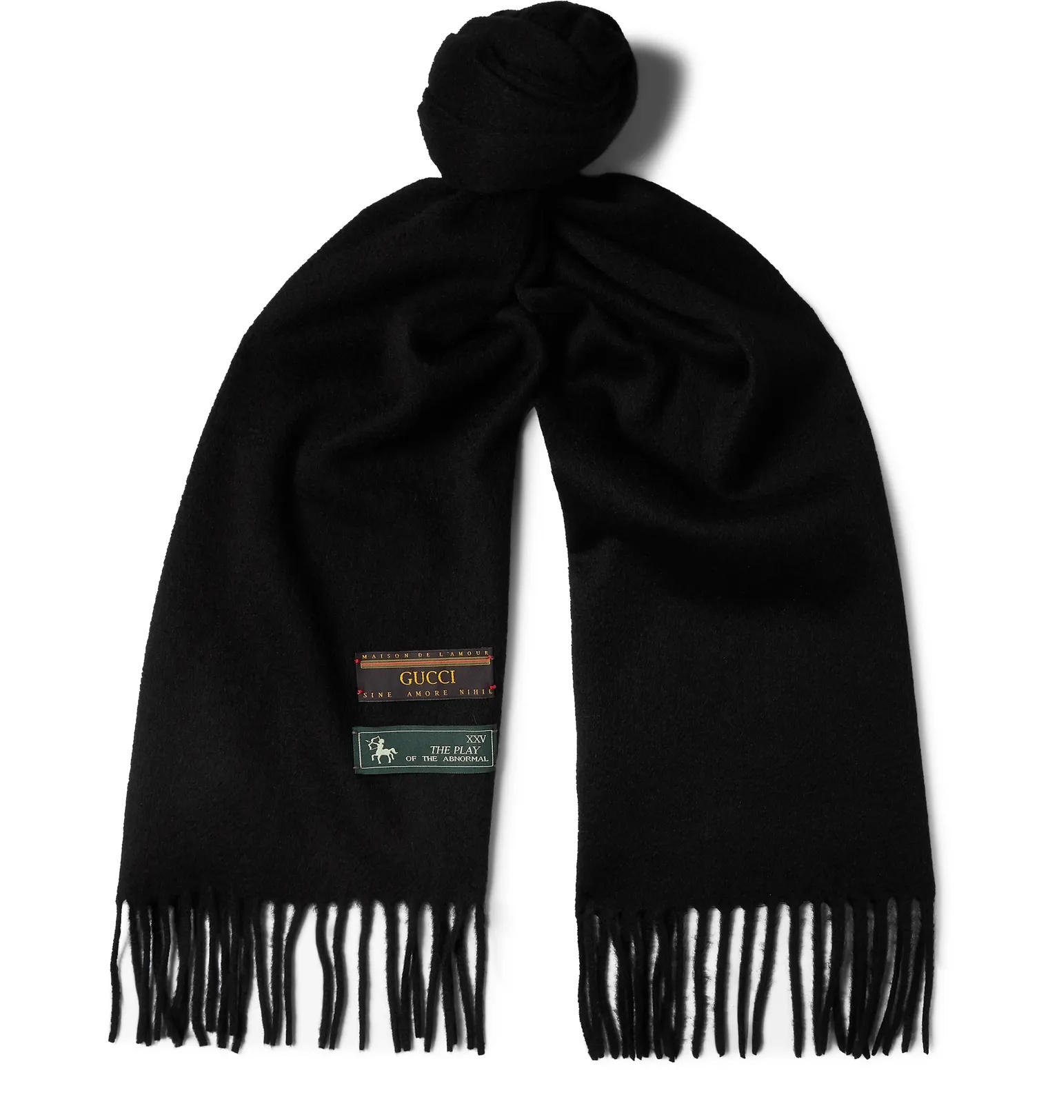 Fringed Wool and Cashmere-Blend Scarf - 4