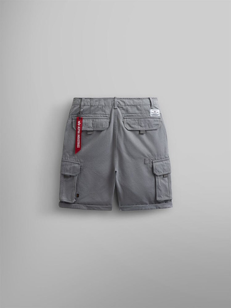 CREW SHORT (AIRCRAFT GRAY) 6