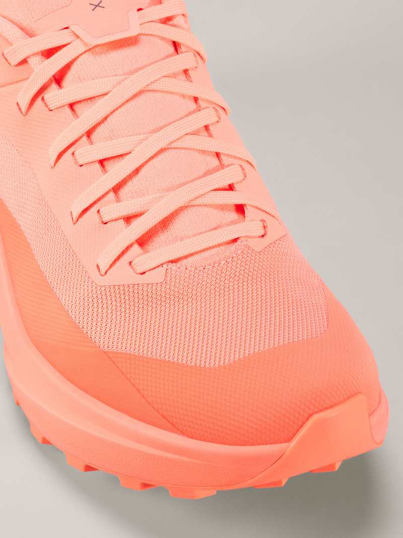 Arc'teryx Norvan LD 4 Shoe outlook
