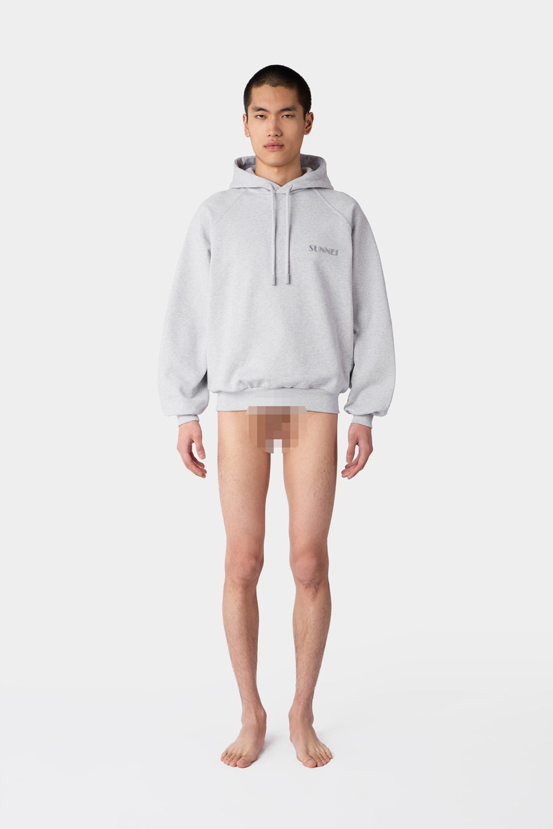 SMALL LOGO EMBROIDERED HOODIE / grey melange 4